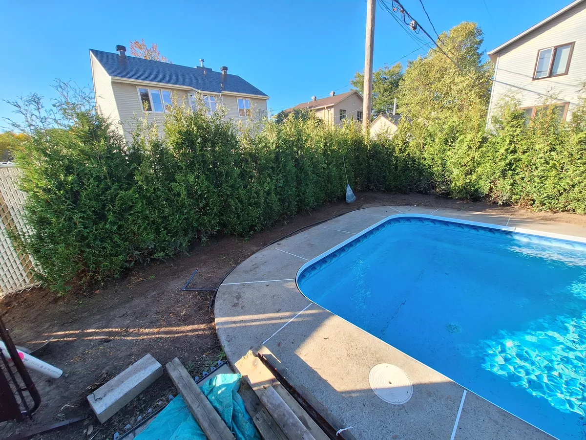 Comment entretenir sa haie de cèdres