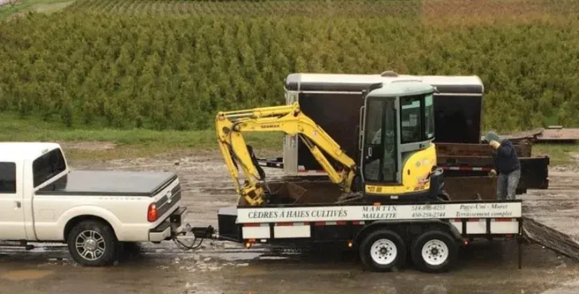 Remorque Martin Mallette et champ de cèdres