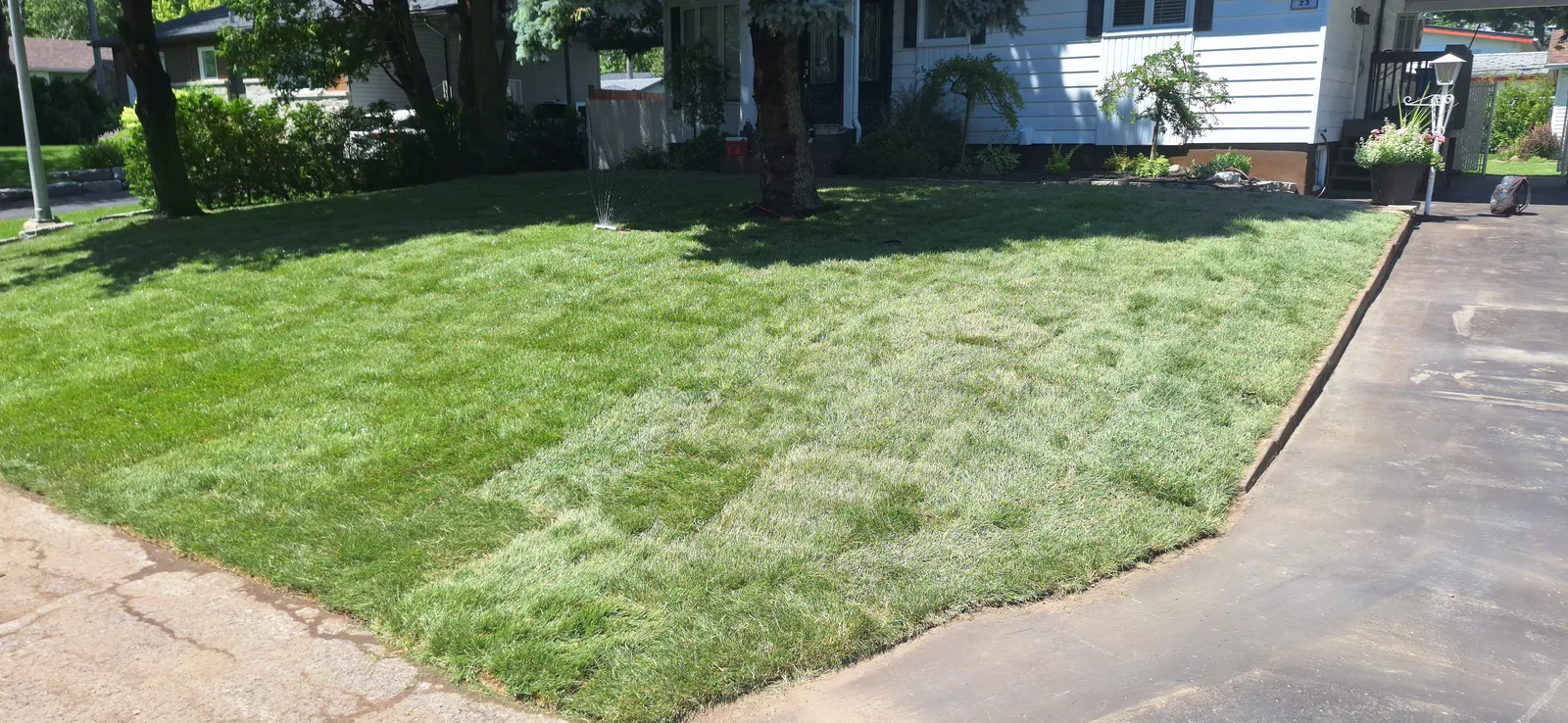 Pose de tourbe fraîche — terrain avant