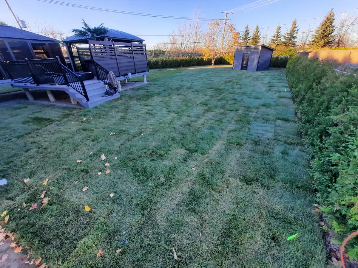 Nivellement et tourbe — cour arrière