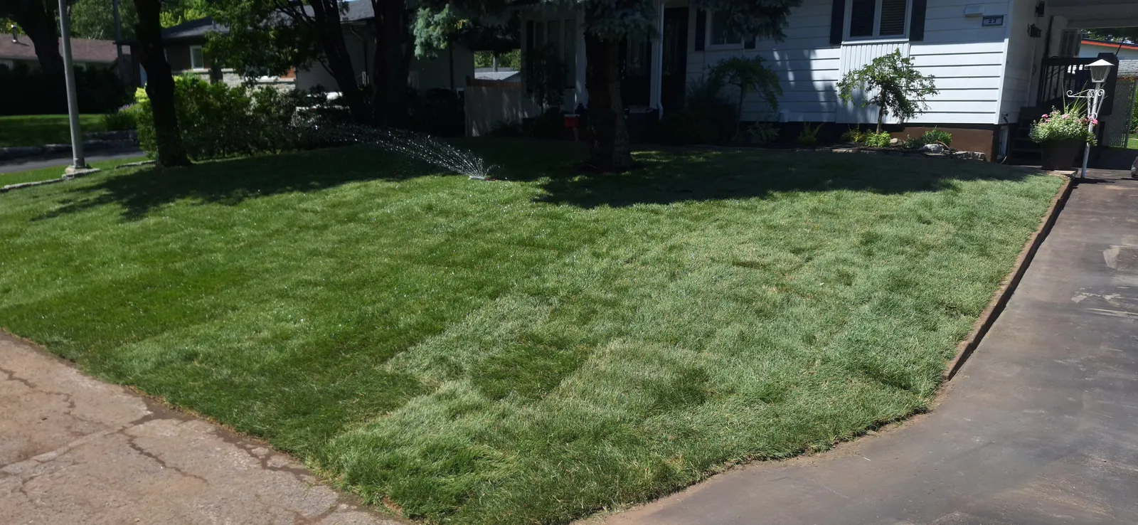 Résultat de pose de tourbe résidentielle