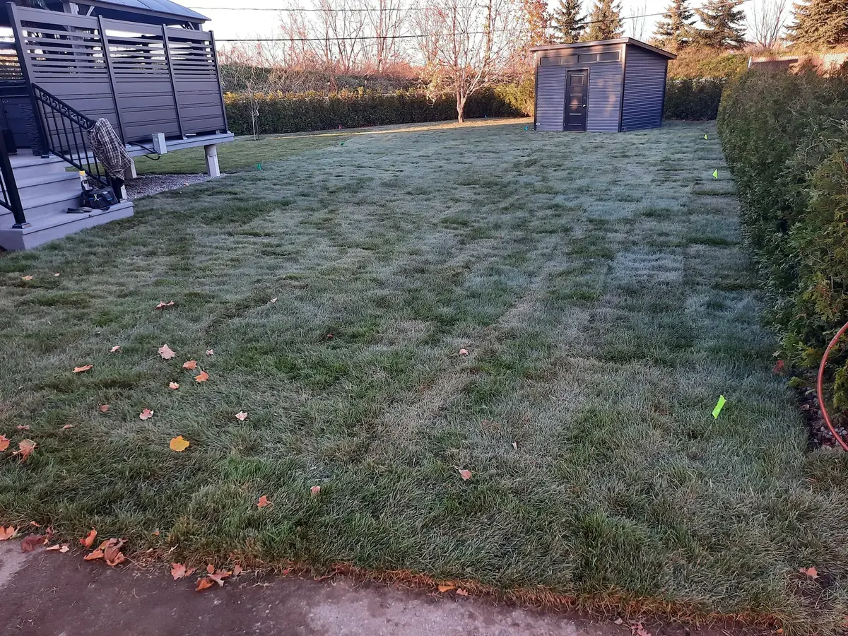 Terrain arrière nivelé avec tourbe