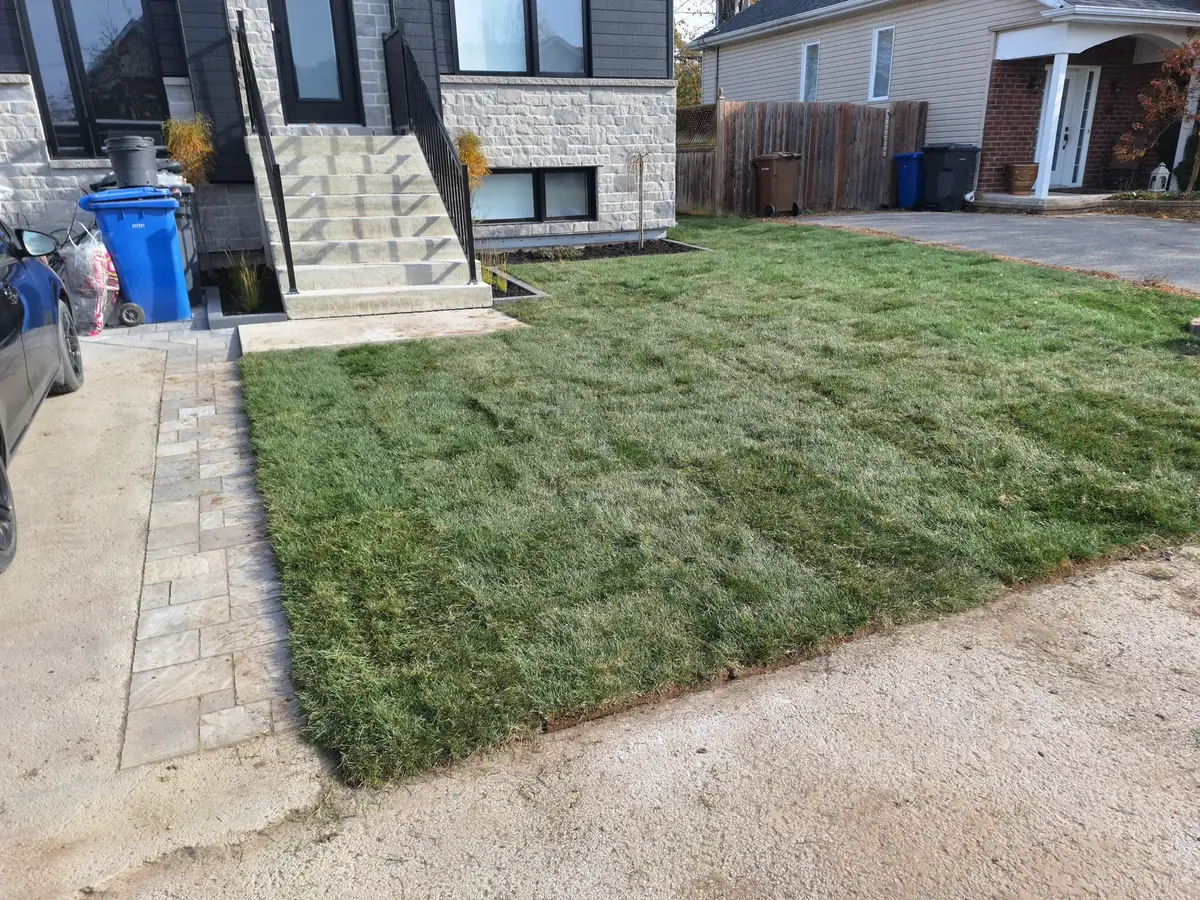 Tourbe et allée en pavé-uni